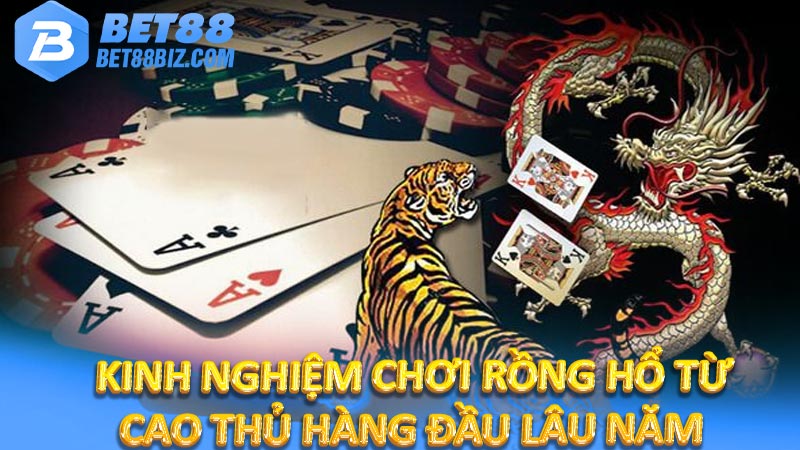Kinh nghiệm chơi Rồng Hổ từ cao thủ hàng đầu lâu năm