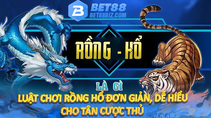 Luật chơi Rồng Hổ đơn giản, dễ hiểu cho tân cược thủ