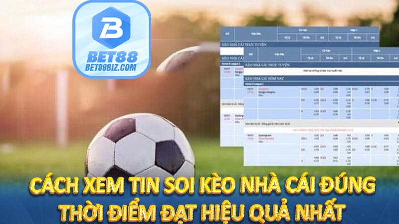 Cách xem tin soi kèo nhà cái đúng thời điểm đạt hiệu quả nhất