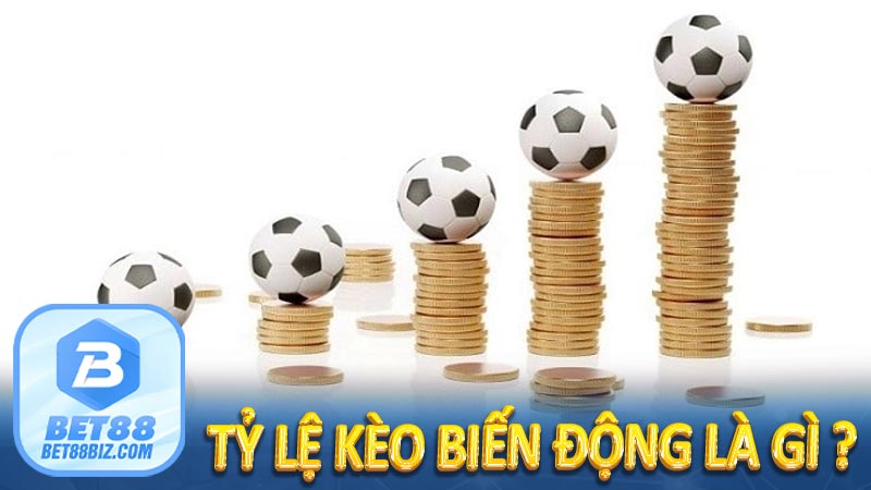 Tỷ lệ kèo biến động là gì ?
